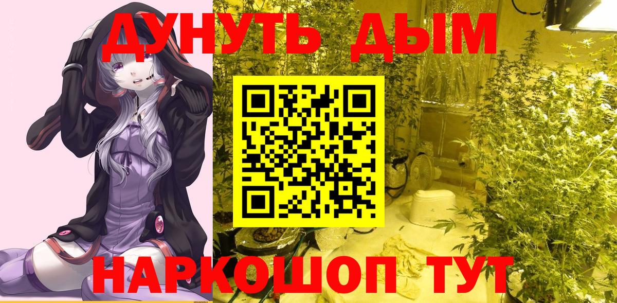 Бошки Шишки план  Вход с VPN  Мытищи  Канабис OG Kush 